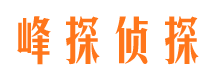 社旗外遇出轨调查取证